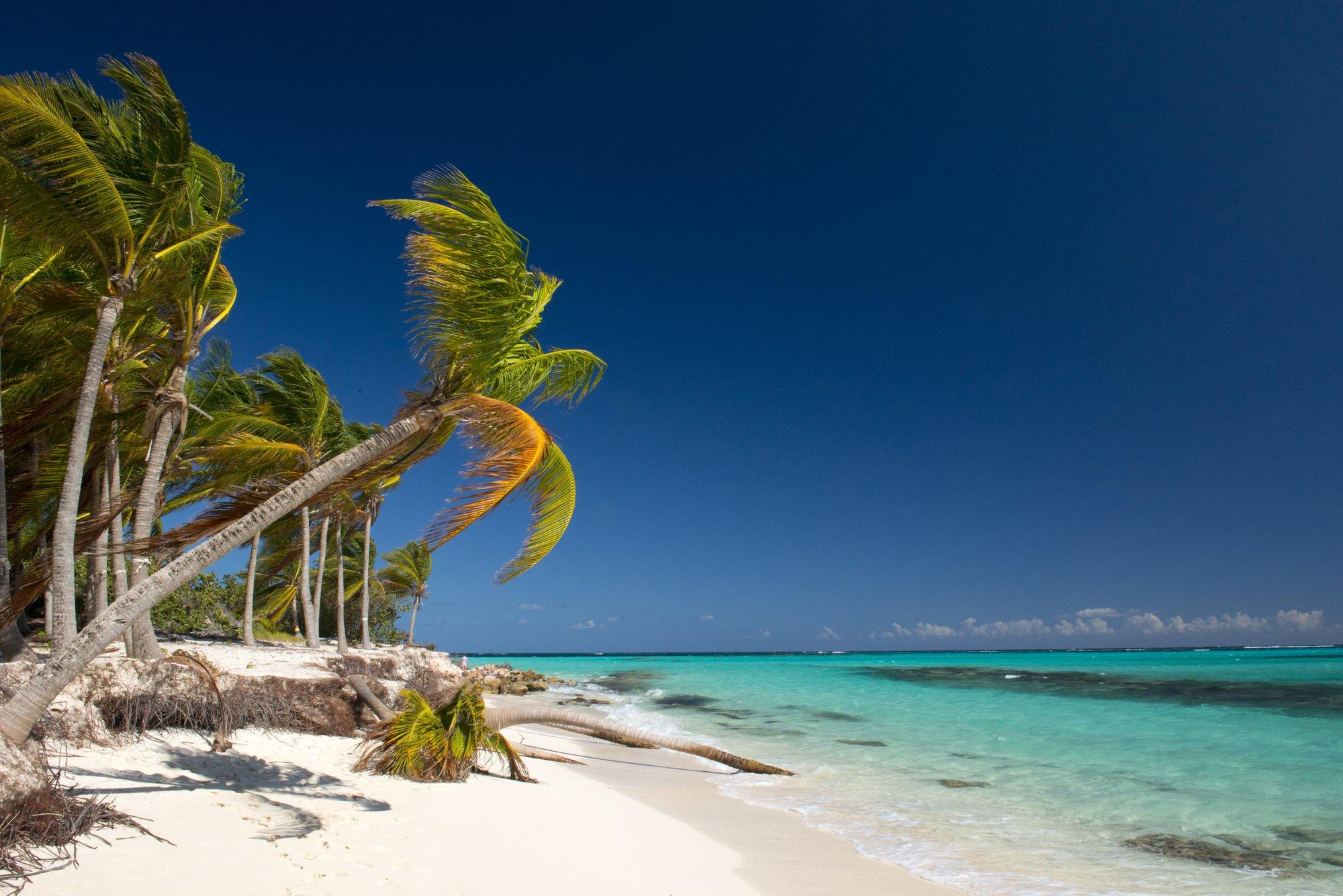 Täielik jackpot. AI-buum teenib pisikesele Kariibi mere saarele domeeni abil miljoneid dollareid