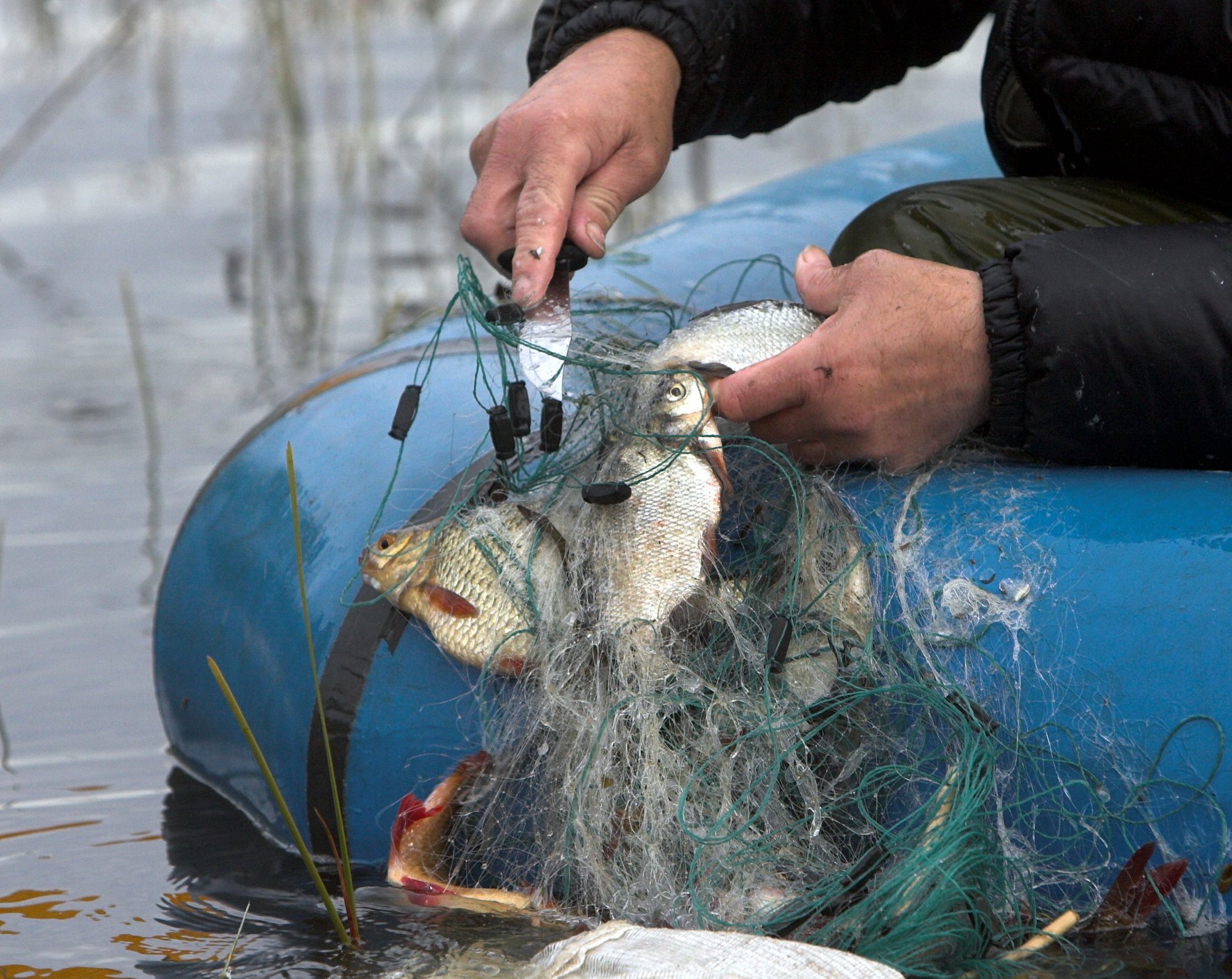 Koerarünnakud, noaähvardused ja harpuunpüss. Keskkonnainspektorite õigust ohu korral jõudu kasutada laiendatakse