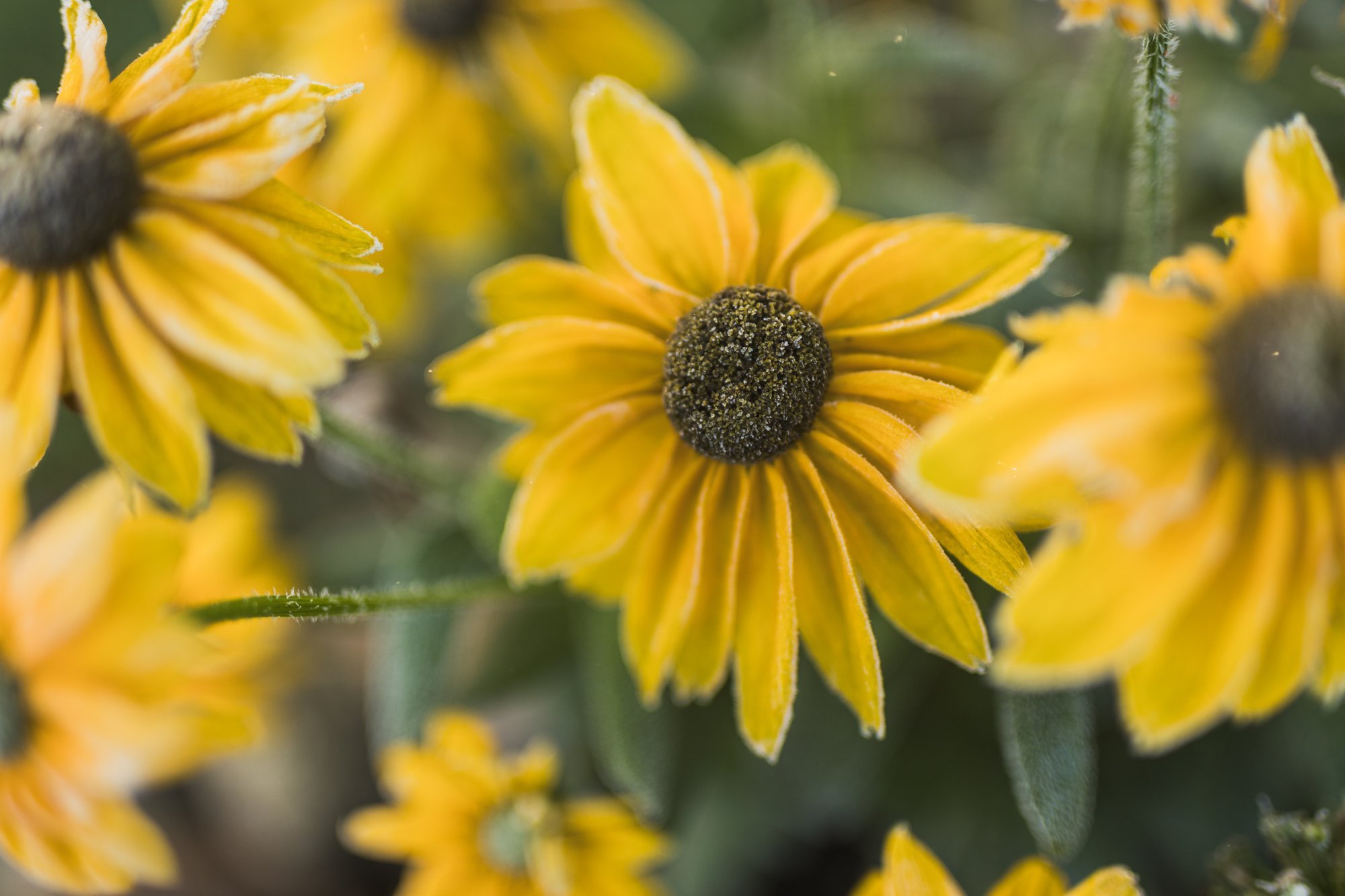 Maalehe ilmatargad: tulemas on meeletult pikk sügis