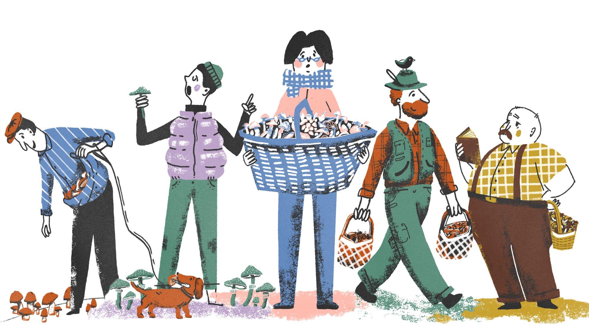 SEENENÄITUSE LOOD ELUST ENESEST | „Tarkpea“ julgustas näitusekülalisi seeni korjama: kui seen ussitab, on see söödav