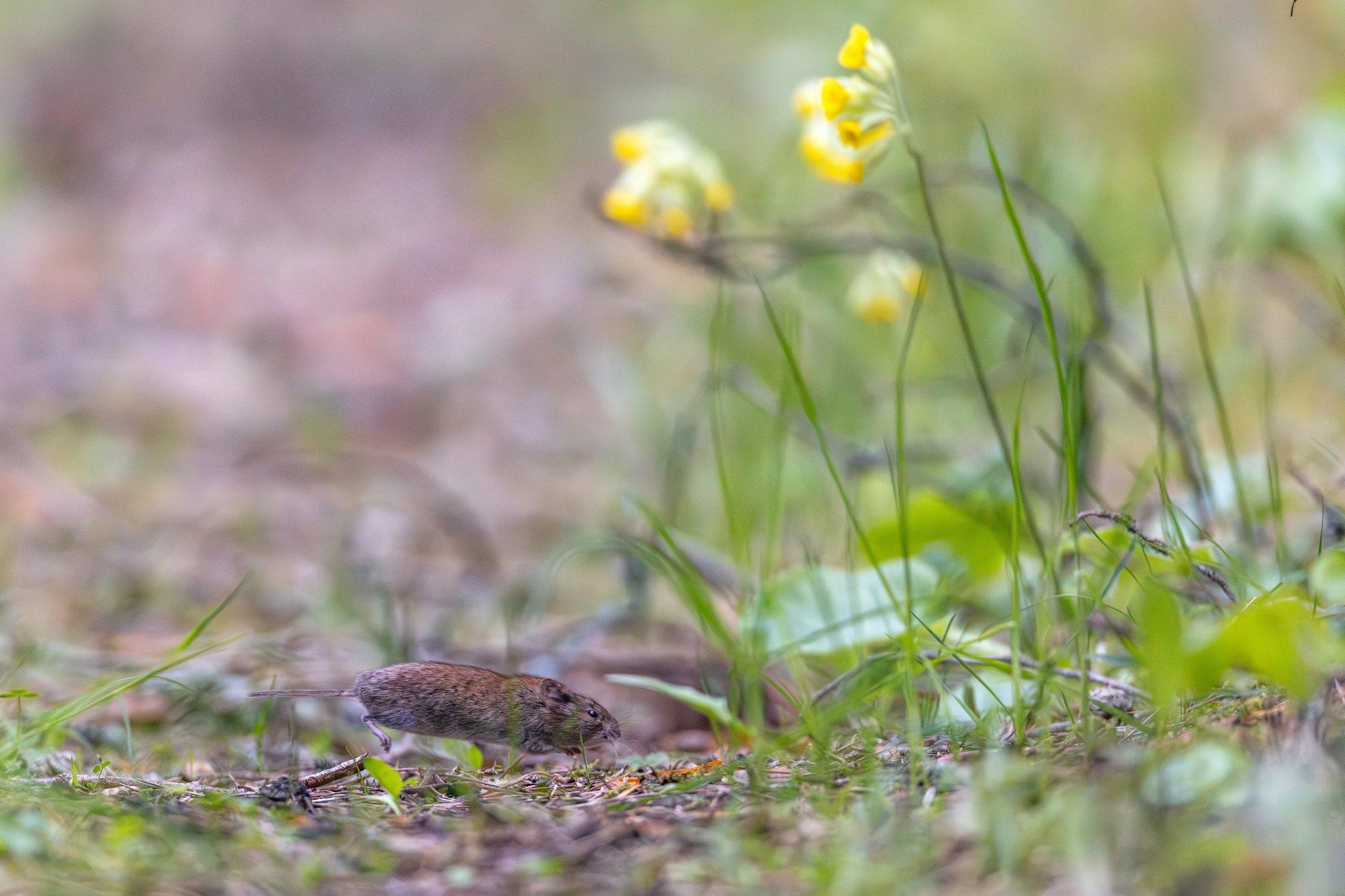 FOTOD | Fotokonkursi Vereta jaht 2025 parimad said pärjatud