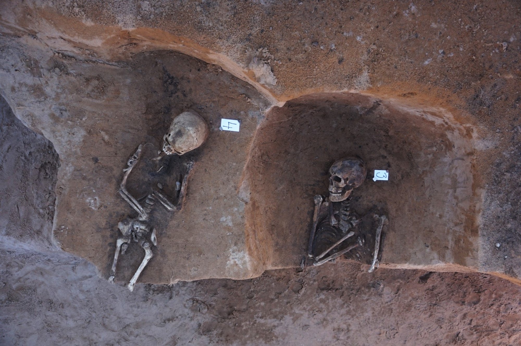 Saladus kloostri haigla veerel: Kuremäe raamatukogu küte takerdus haudadesse