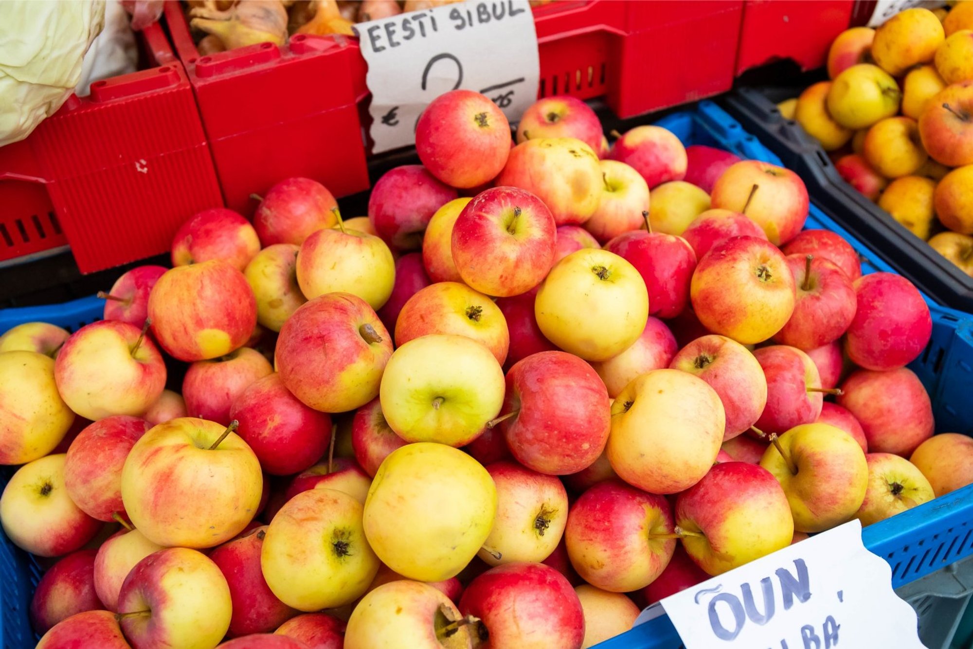HINNAÜLEVAADE | Õuna hind on märkimisväärselt kallinenud