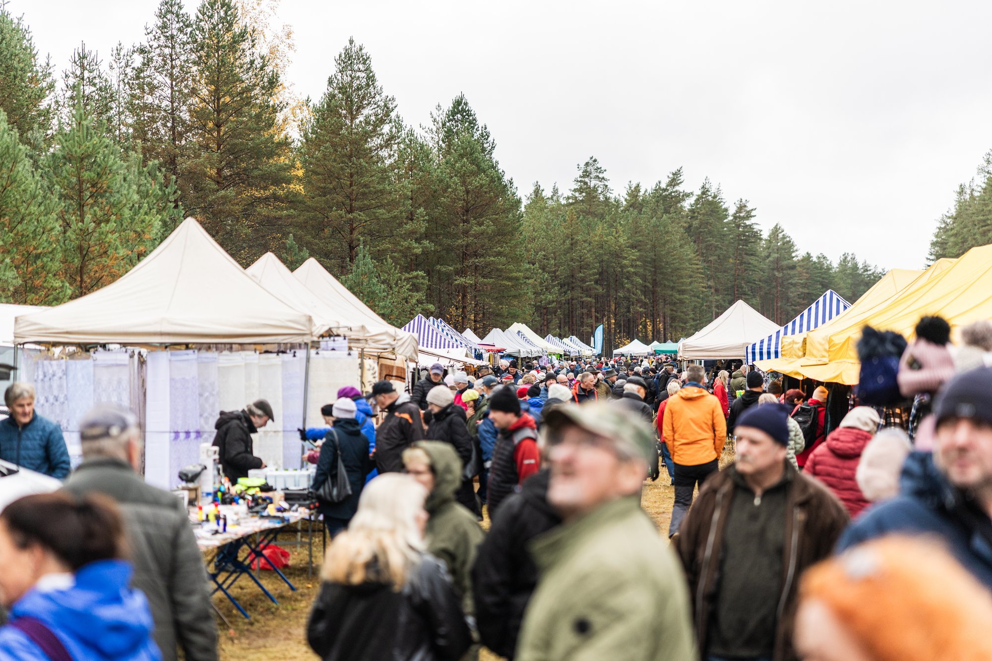 ÜLEVAADE | Mõnusad üritused ja sügislaadad, mida sel nädalavahetusel külastada