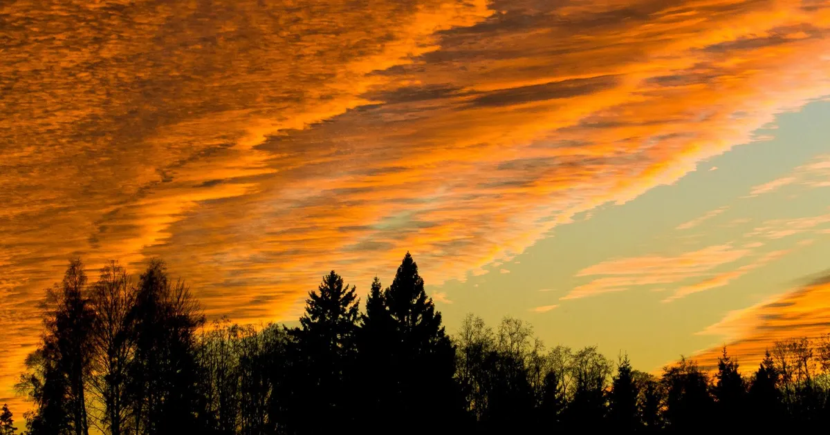 Nädalavahetuse ilm tõotab tulla ilus, uuel nädalal võib tulla vihma