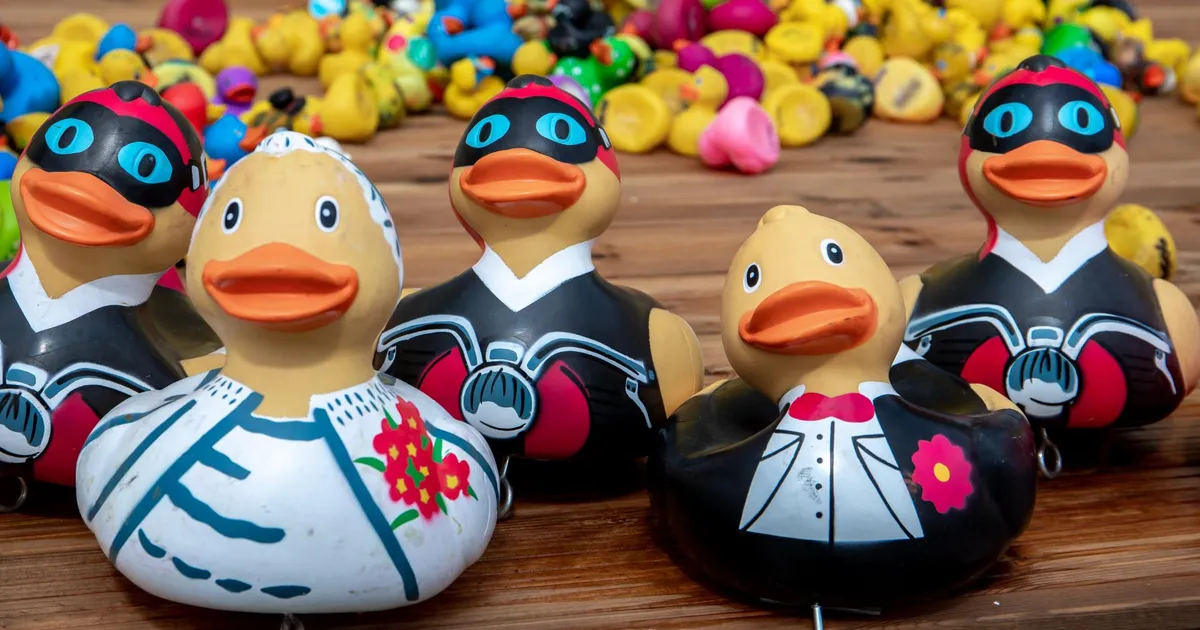 ENE KALLAS ⟩ Poliitikud võivad väriseda! Saadame peibutuspardid laiali