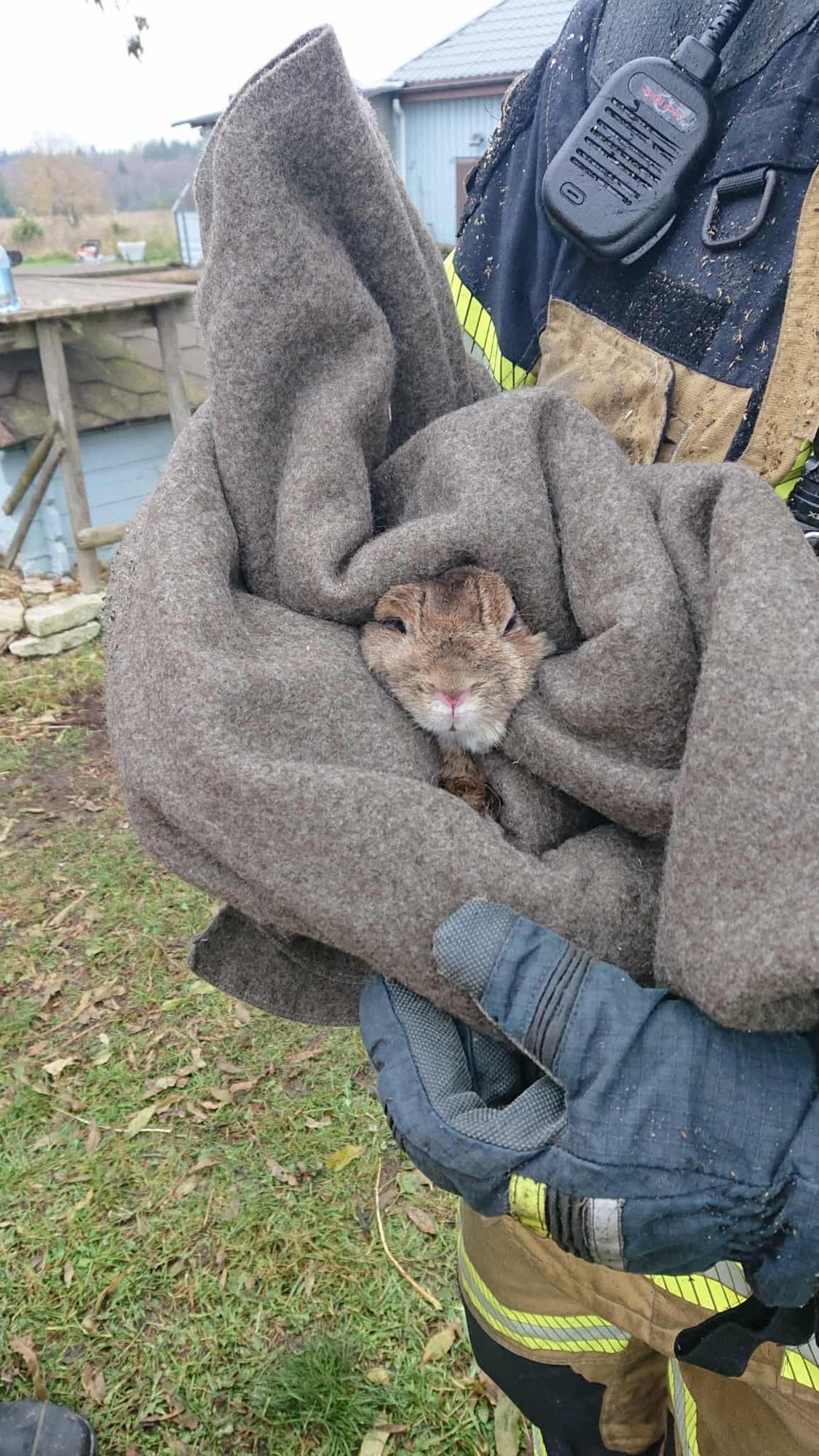 Harjumaal suurte jõududega kustutatud ja eaka naise elu nõudnud tulekahjust päästeti küülik