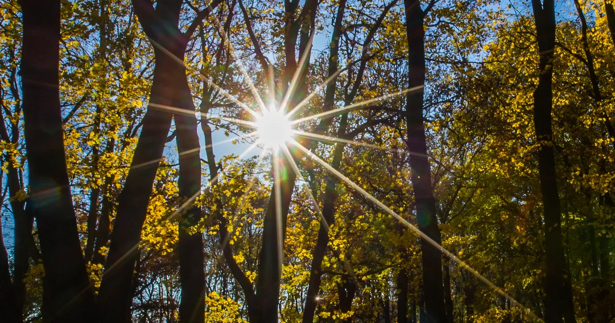 NÄDALAPROGNOOS ⟩ Saabumas on jõulist ja metsikut energiat, mis viib ka tulemusteni
