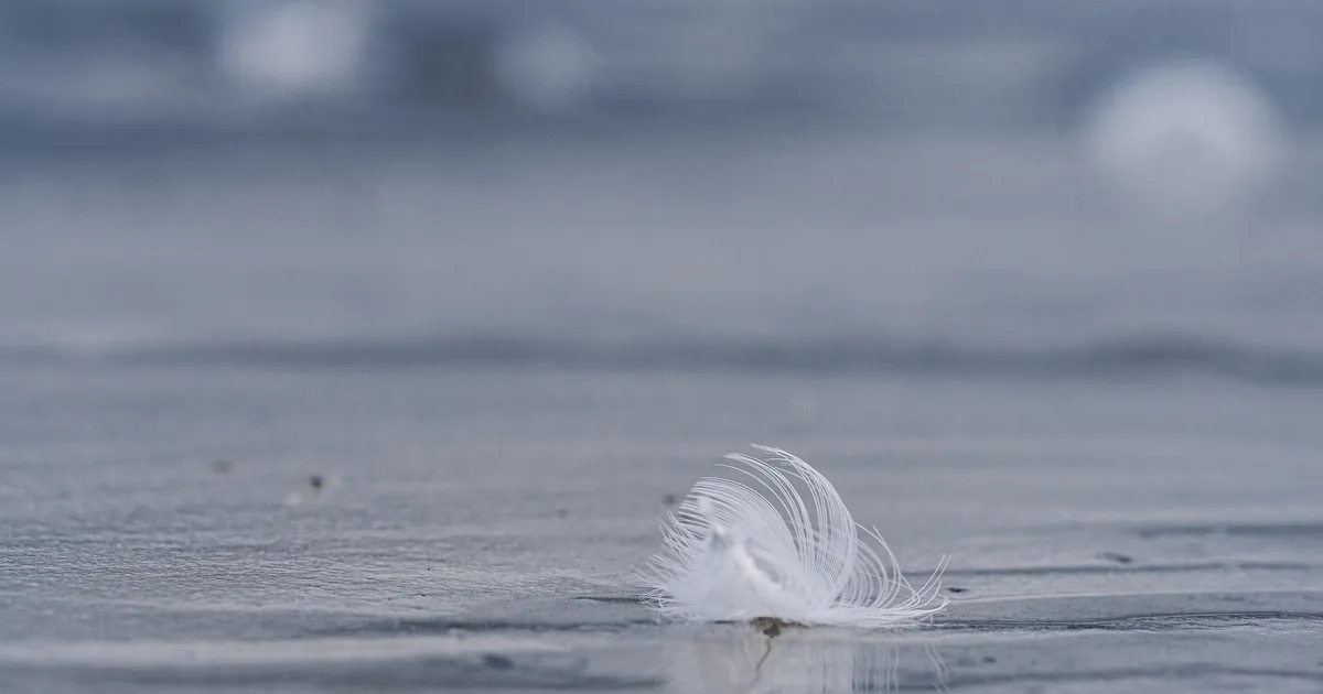 Homme tuleb kuni 10 kraadi sooja