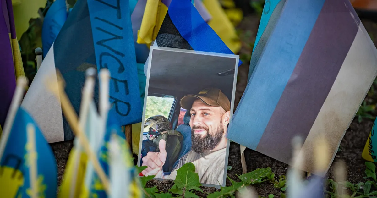 ARVUSTUS ⟩ Sinikollane. Vabatahtlikud ei tule sõjast tagasi