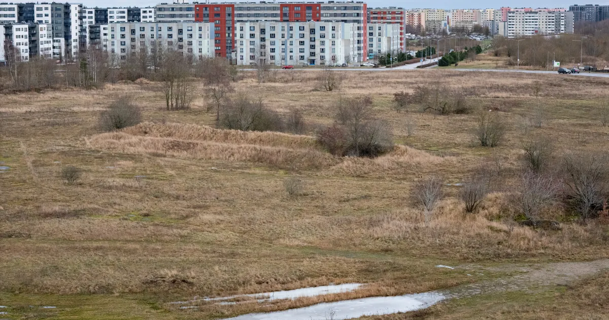 RALF ALLIKVEE ⟩ Tallinna Haiglast võib saada selle linnavalitsuse kalleim valimiskampaania