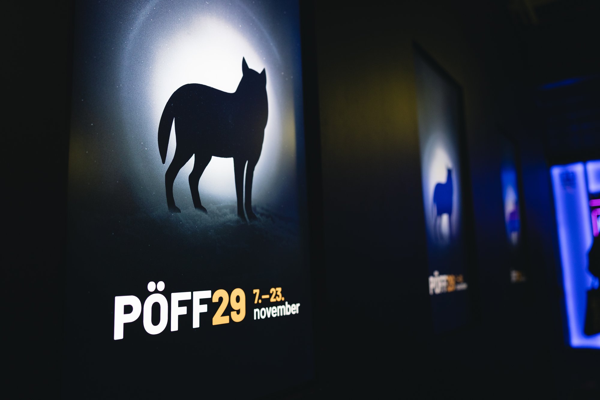 Selle aasta Pimedate Ööde filmifestivali fookus on Kataloonial. Festivali direktor: see on nagu Setomaa