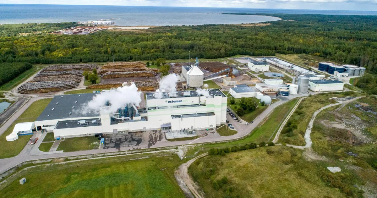 ALICE SALUMETS ⟩ Miks valitsus peaks pakkuma stabiilset majandus- ja maksukeskkonda?