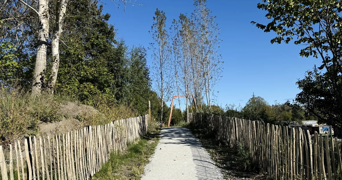 GALERII ⟩ Male, grill, kogukonnaaed ja kükakil mehed: mida pakub Tallinna uusim ja progressiivseim park