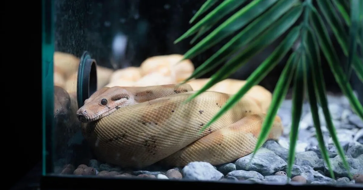 Texase õpetaja ohverdus maole šokeeris õpilasi