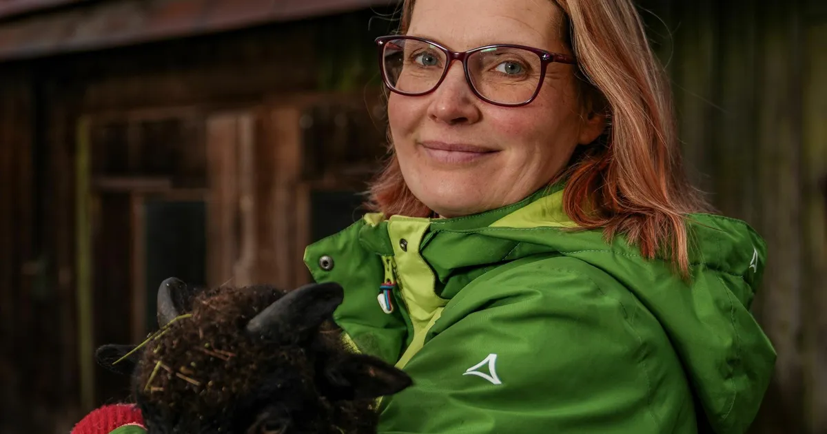 Siga kuulab, madu maandab: teraapialoomade hämmastav maailm