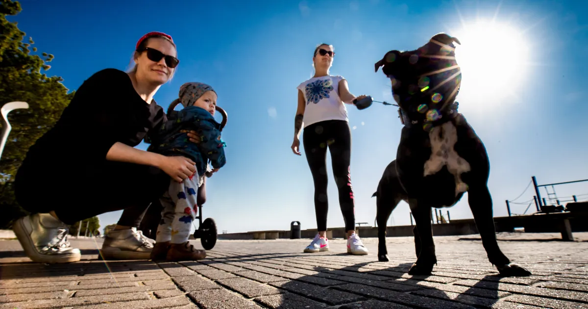 Tänavune september oli üle 100 aasta andmereas soojuselt neljas