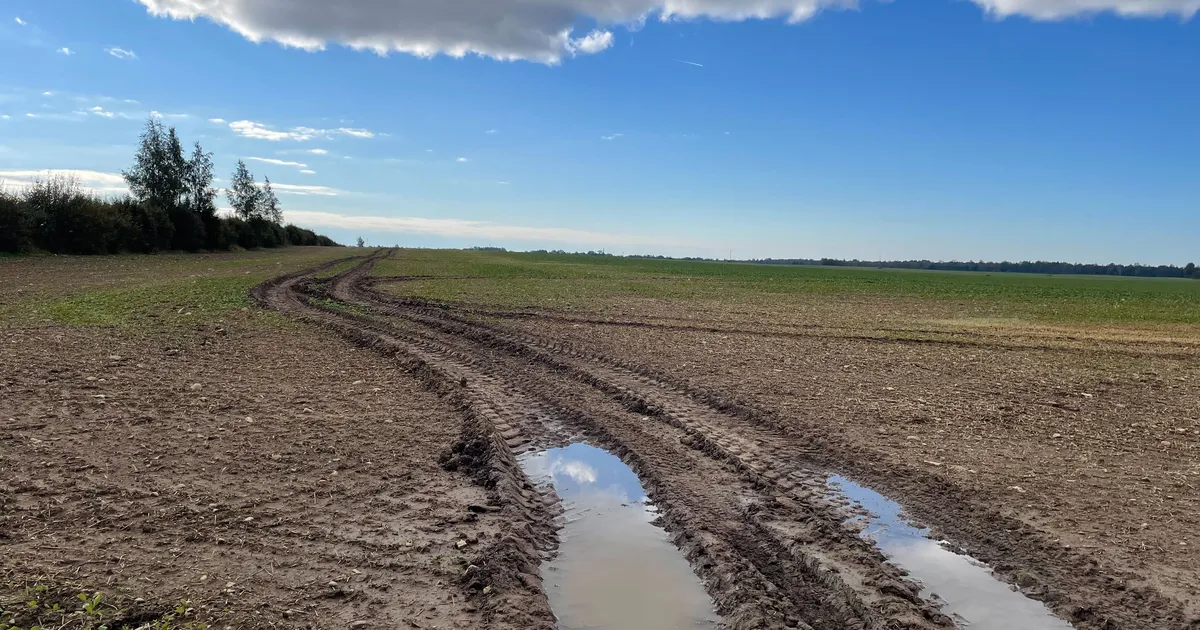 Sügiskuu kokkuvõte: sajud ja liigmärg muld takistasid põllutöid