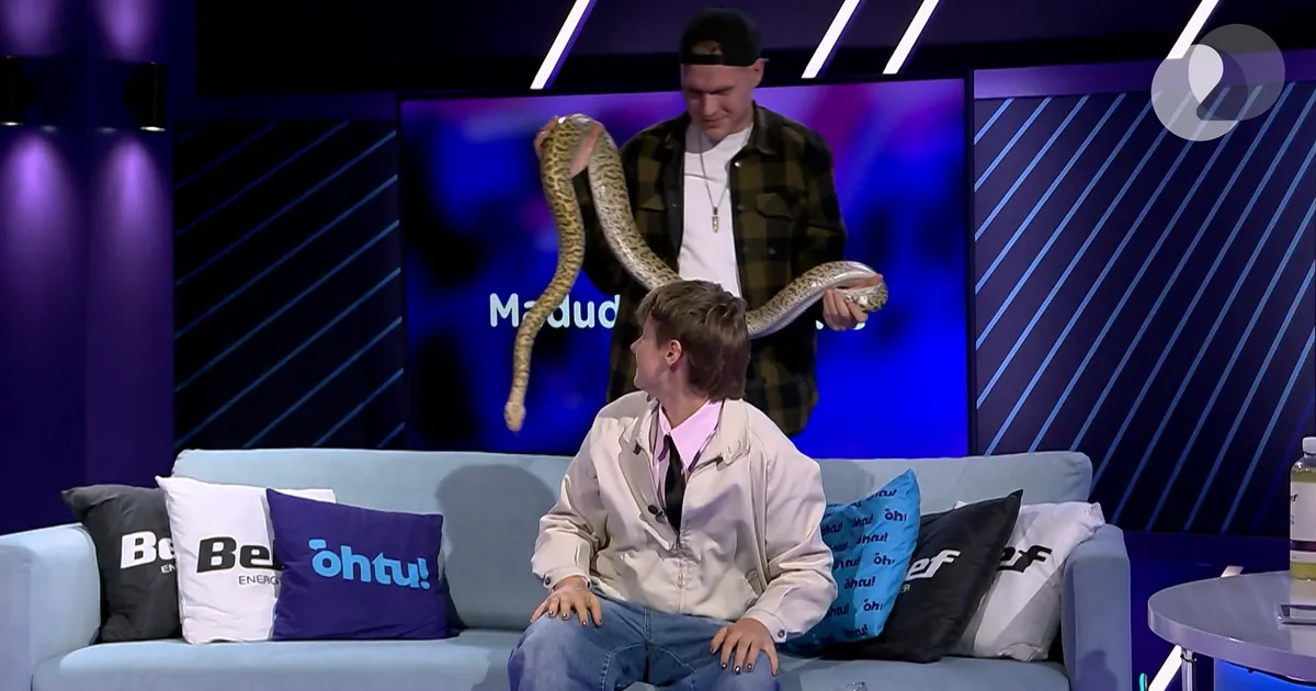 «Päriselt ka või?» Inger ületas telesaates ühe maailma enamlevinud foobia