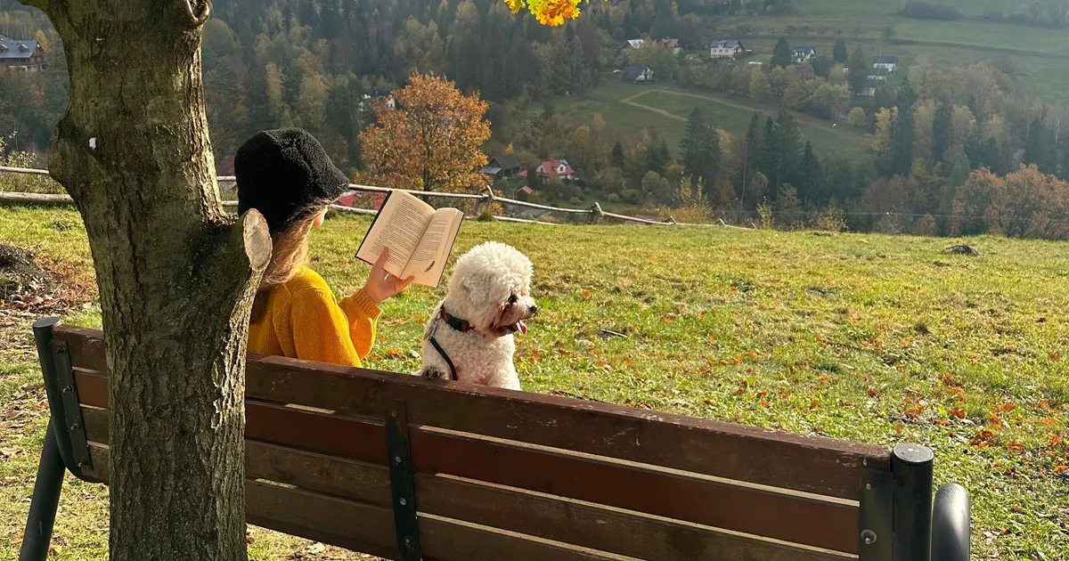 Sinijärv soovitab üllatavat romaani: «Raske liigitada, ent kerge soovitada»