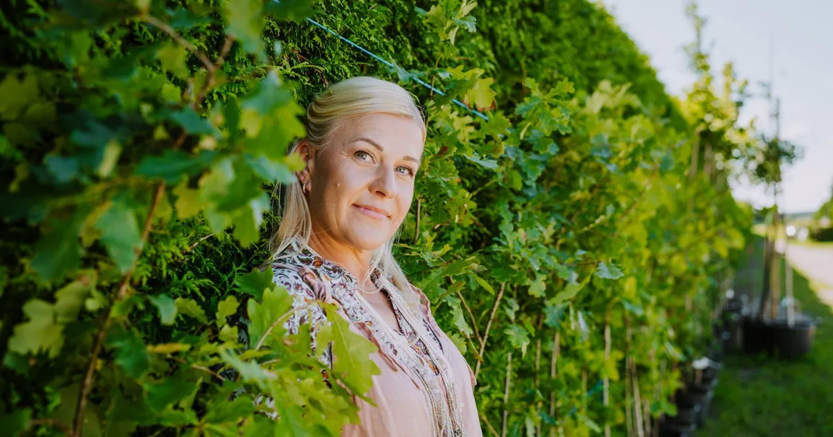 Spetsialisti soovitused: niimoodi rajad kauni ja vastupidava heki