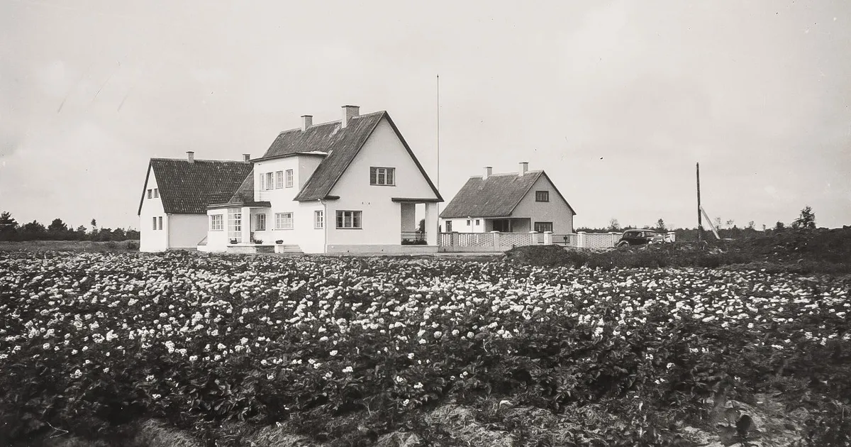 AEGRUUM ⟩ Eesti parimale kirjanikule ehitatud Lagle «loss»