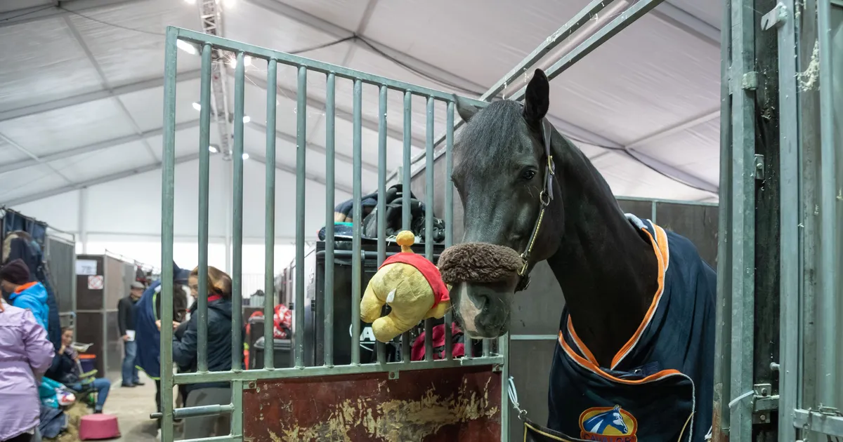 Hobuhotell on täppisteadus, mis käib nagu kellavärk