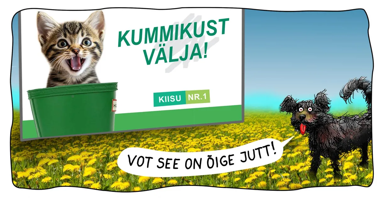 JUURIKAS ⟩ Allan Hmelnitski joonistus