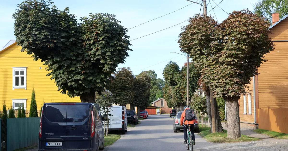 Karlova südamekujulised kastanid vaaguvad hinge