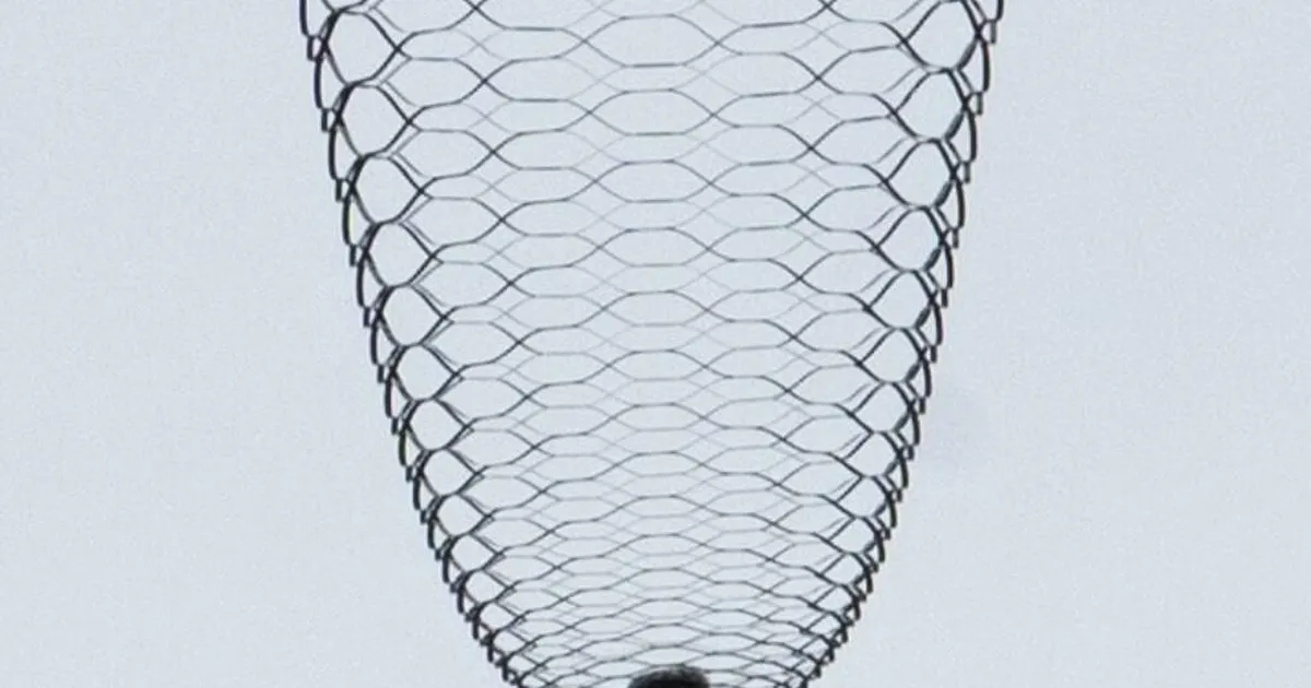 LISATUD VIDEO ⟩ Kanadas leiutati eriskummaline ja odavalt tehtav langevari – see aandub sinna, kuhu plaanitud