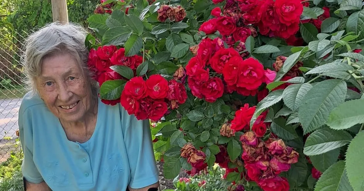 Tartus elava 90-aastase neli aastat kestnud võitlus puusaoperatsiooni eest: tahan lihtsalt teada, millega see lugu lõpeb!