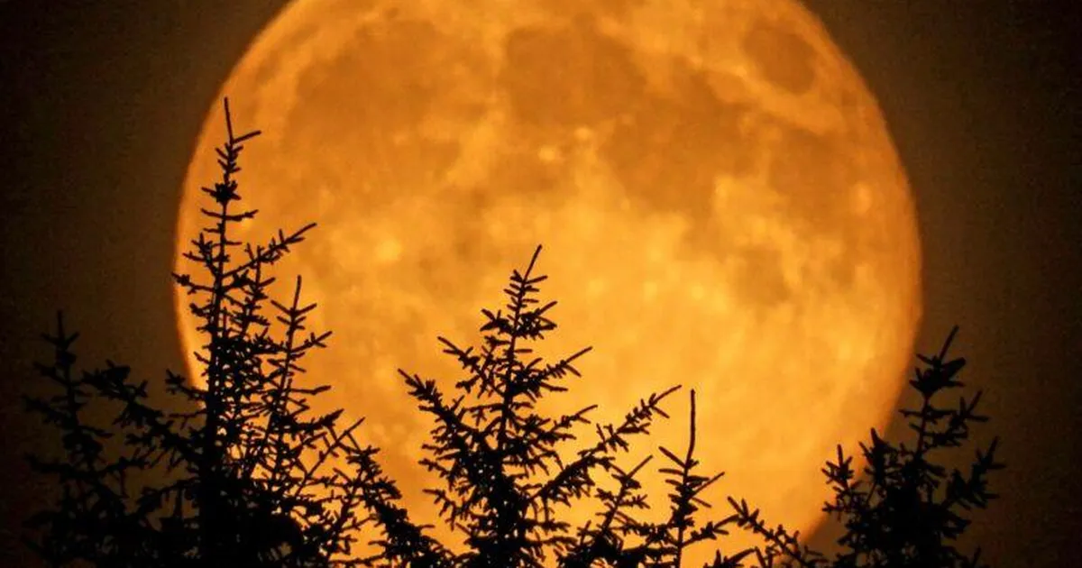 VAATA ÜLES ⟩ Millal ja kuidas näha erakordset superkuud