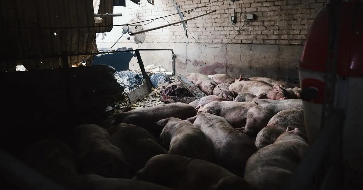 Ukrainas hukkus Venemaa droonirünnakus 13 000 siga