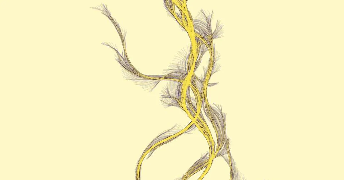 Raskeid harvikhaigusi aitavad ravida need läbipaistvad ussid