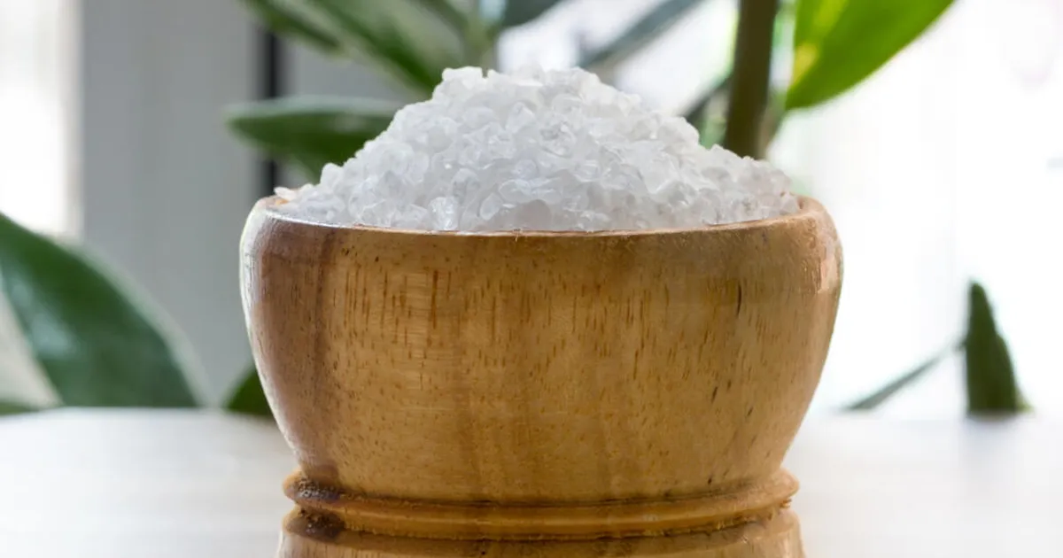 Milleks jätta kausitäis soola aknalauale?