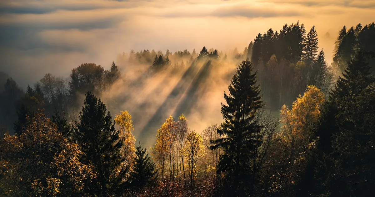 OKTOOBRI HOROSKOOP ⟩ Ees on mitu äärmuslikku akent: läbi raskuste jõutakse paremasse kohta