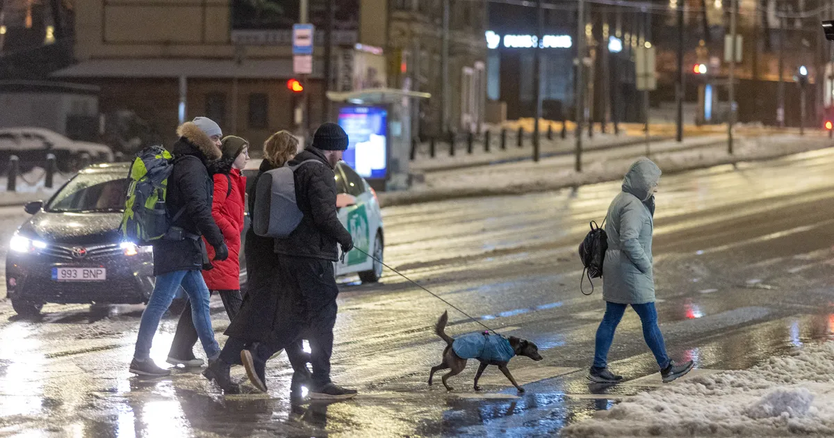 Ilmaprognoos: maa võib valgeks muutuda juba oktoobris