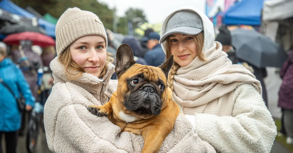 GALERII ⟩ Kehvast ilmast hoolimata! Põhja-Tallinna sügislaat meelitas kohale nii suured kui väikesed