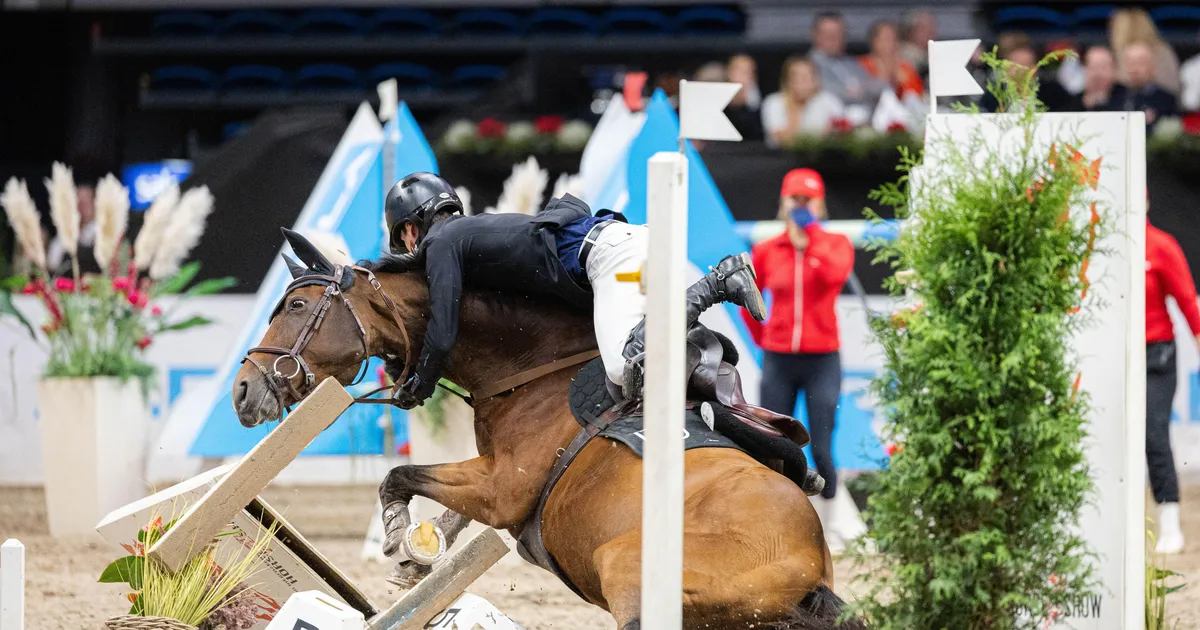 VIDEO ⟩ Eesti ratsanik lõpetas koduvõistlusel koos hobusega tõketes