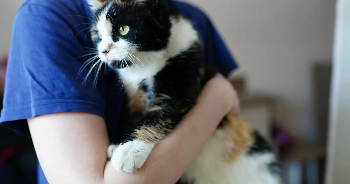 Loomakaitseorganisatsioonid: loomavaenulik eelnõu tuleb peatada