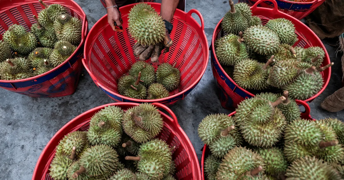 Saksamaa päästjaid kimbutas eksootiline nuhtlus