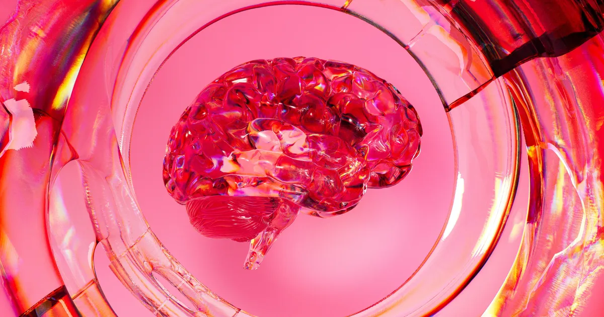 VÄRSKE AVASTUS ⟩ Naise aju muudab kuu jooksul isegi oma füüsilist vormi