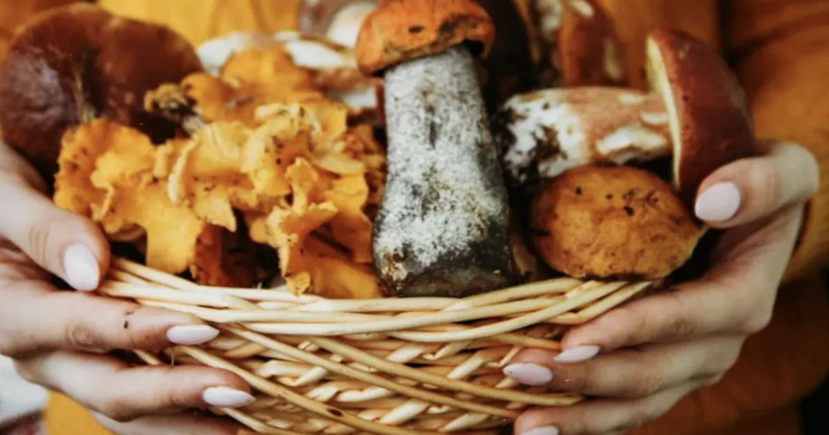 PÄEVAHOROSKOOP ⟩ 7. oktoober: Kaljukitse tähelepanu on kodustel suhetel, Amburi koostöö ei pruugi just valutult sujuda