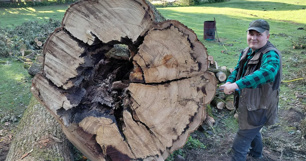 PILDID ⟩ Sae alla läinud hiiglaslik saar annab tööd teadlastele ja tisleritele