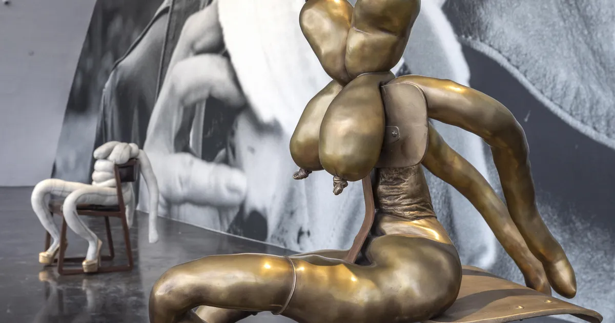 ALASTI SILM ⟩ Kiasmas avab oma näituse vapustav kunstimaailma legend