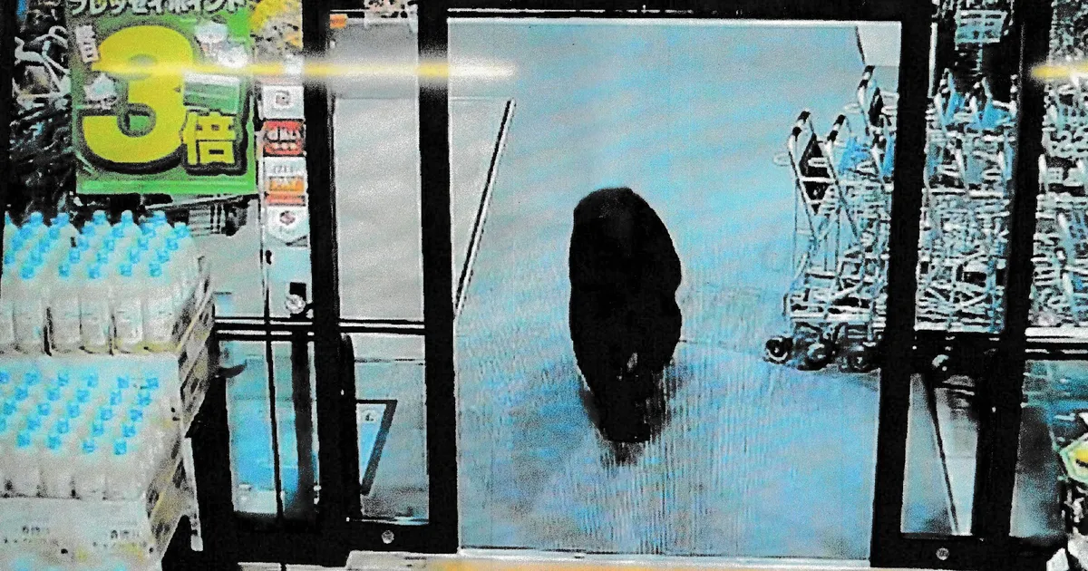 Jaapanis vigastas poodi eksinud karu kahte inimest