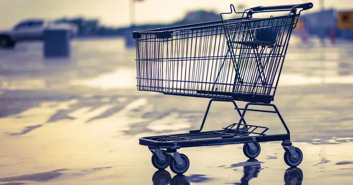 WSJ: Nemad tõotavad osta vähem – või jätta see komme kogunisti maha