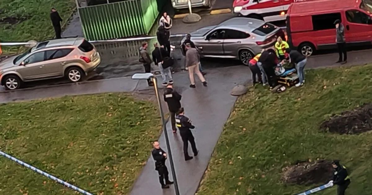 VIDEO MÄRULIST ⟩ Lasnamäel kostus neli lasku, politsei pidas kinni narkokuriteos kahtlustatava