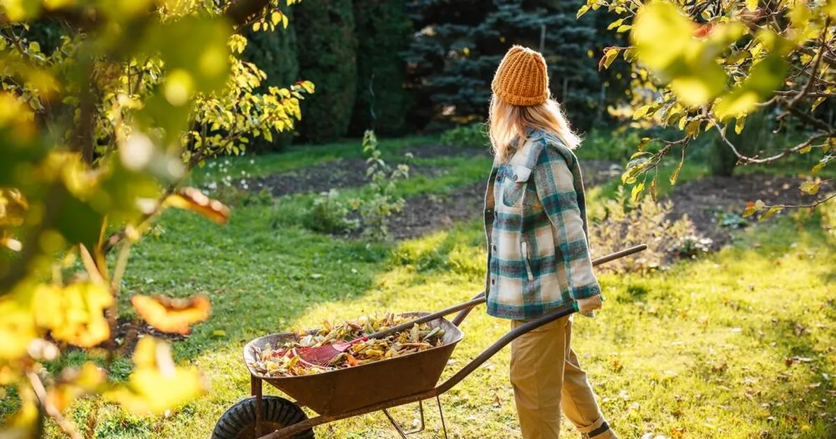 TARK TEADA ⟩ Maaülikooli teadlane selgitab, mida langevate lehtedega peale hakata