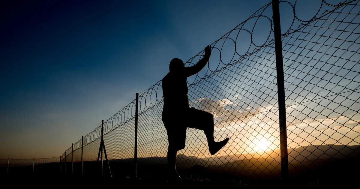 GRANAAT MISSUGUNE! ⟩ Prantsuse vangid kasutasid põgenemiseks… nektariine